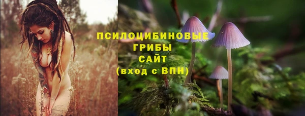 ГАЛЛЮЦИНОГЕННЫЕ ГРИБЫ Абдулино