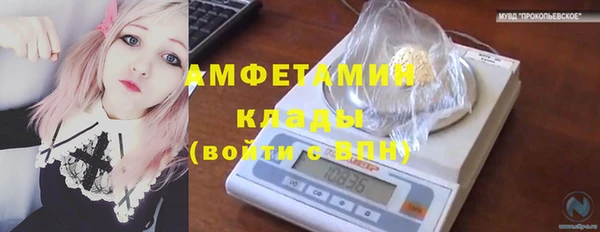 сатива Куйбышев