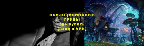 стафф Абинск