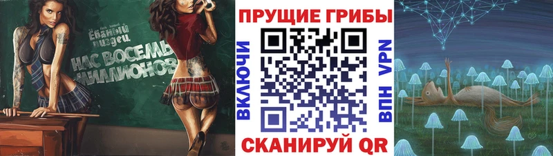 Галлюциногенные грибы мицелий  Алдан 